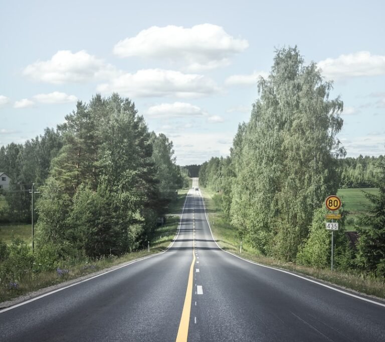 road between trees